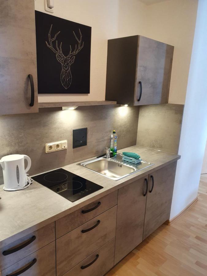 Gehlberg Apartments Und Bistro Zum Glasmacher מראה חיצוני תמונה