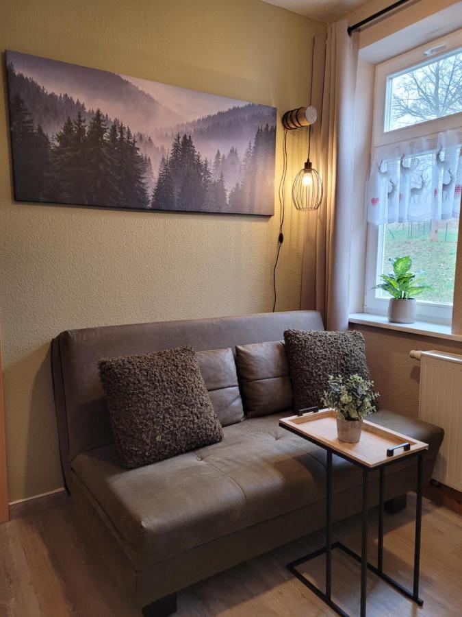 Gehlberg Apartments Und Bistro Zum Glasmacher מראה חיצוני תמונה