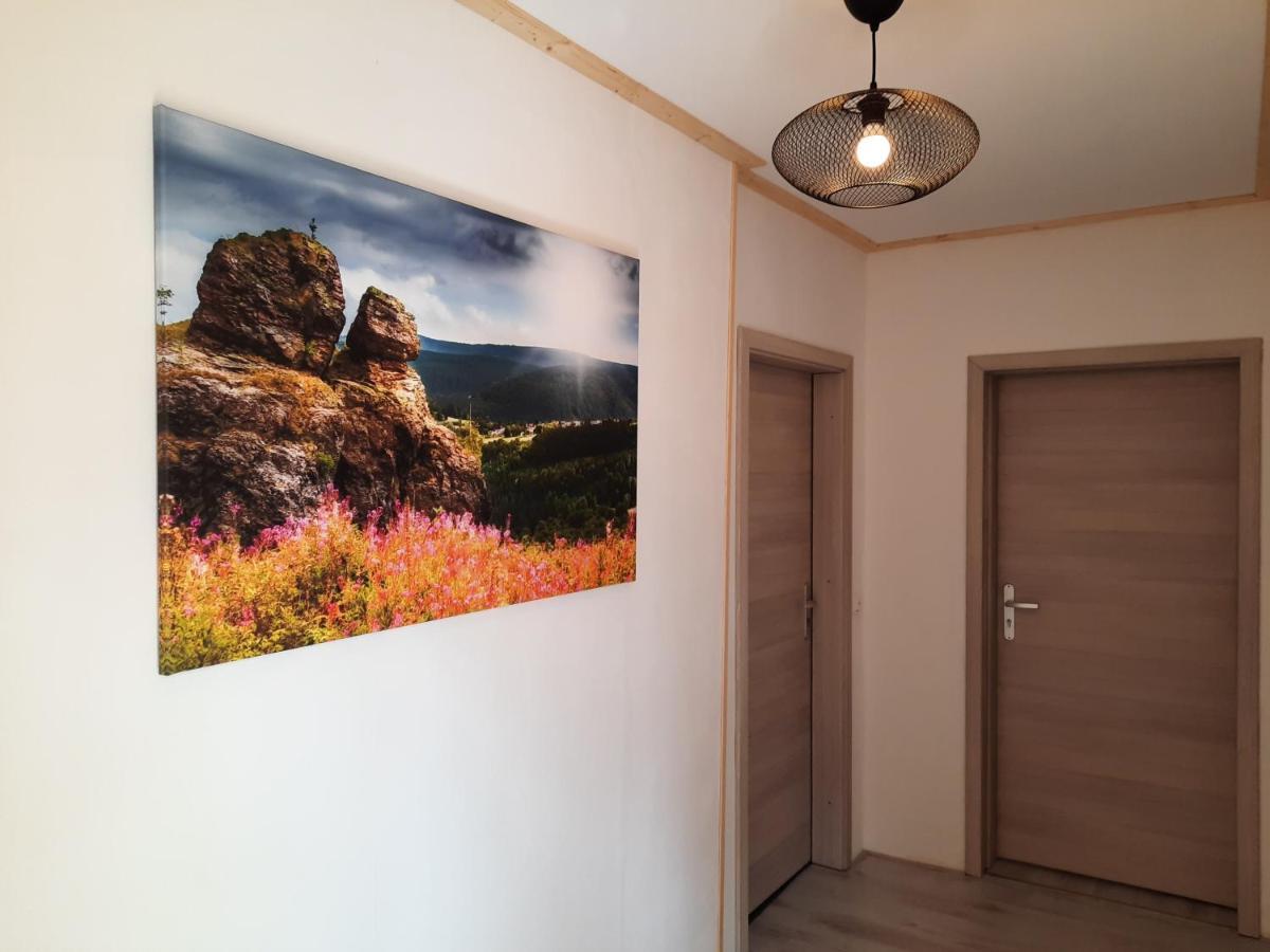 Gehlberg Apartments Und Bistro Zum Glasmacher מראה חיצוני תמונה
